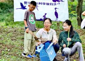 6只猫头鹰在国家植物园回归自然  第1张