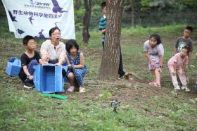 6只猫头鹰在国家植物园回归自然