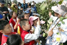 中国农民丰收节丨自治区农科院举办种质资源科普开放日活动