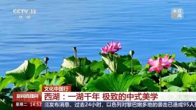 文化中国行丨“朝昏晴雨，四序总宜” 被西湖的中式美学硬控了