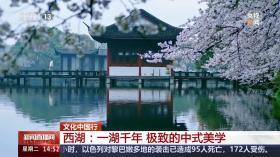 文化中国行丨“朝昏晴雨，四序总宜” 被西湖的中式美学硬控了  第6张